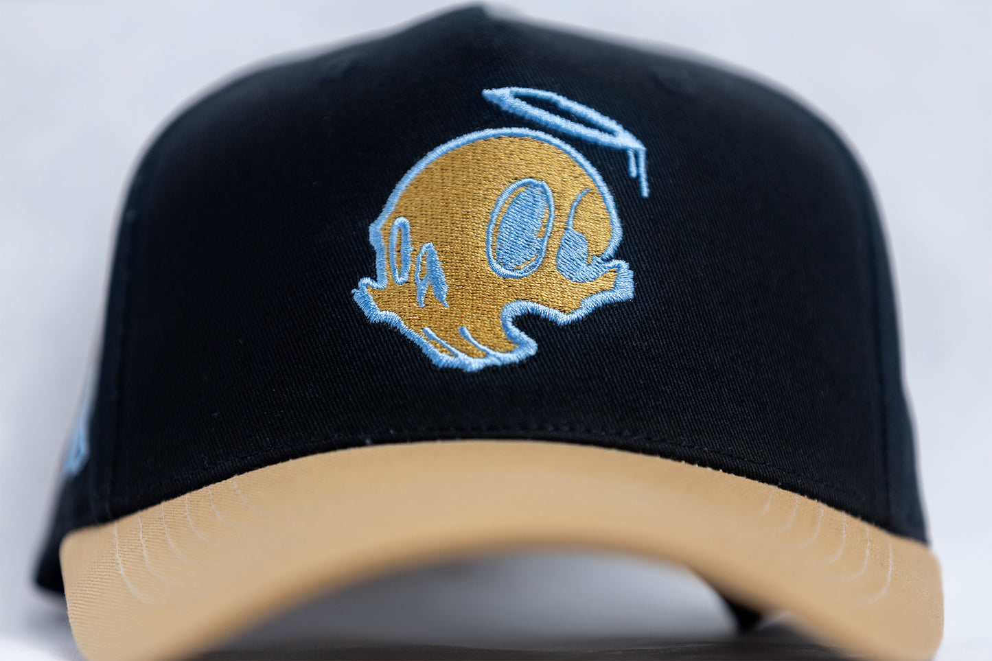 Skull Snapback
