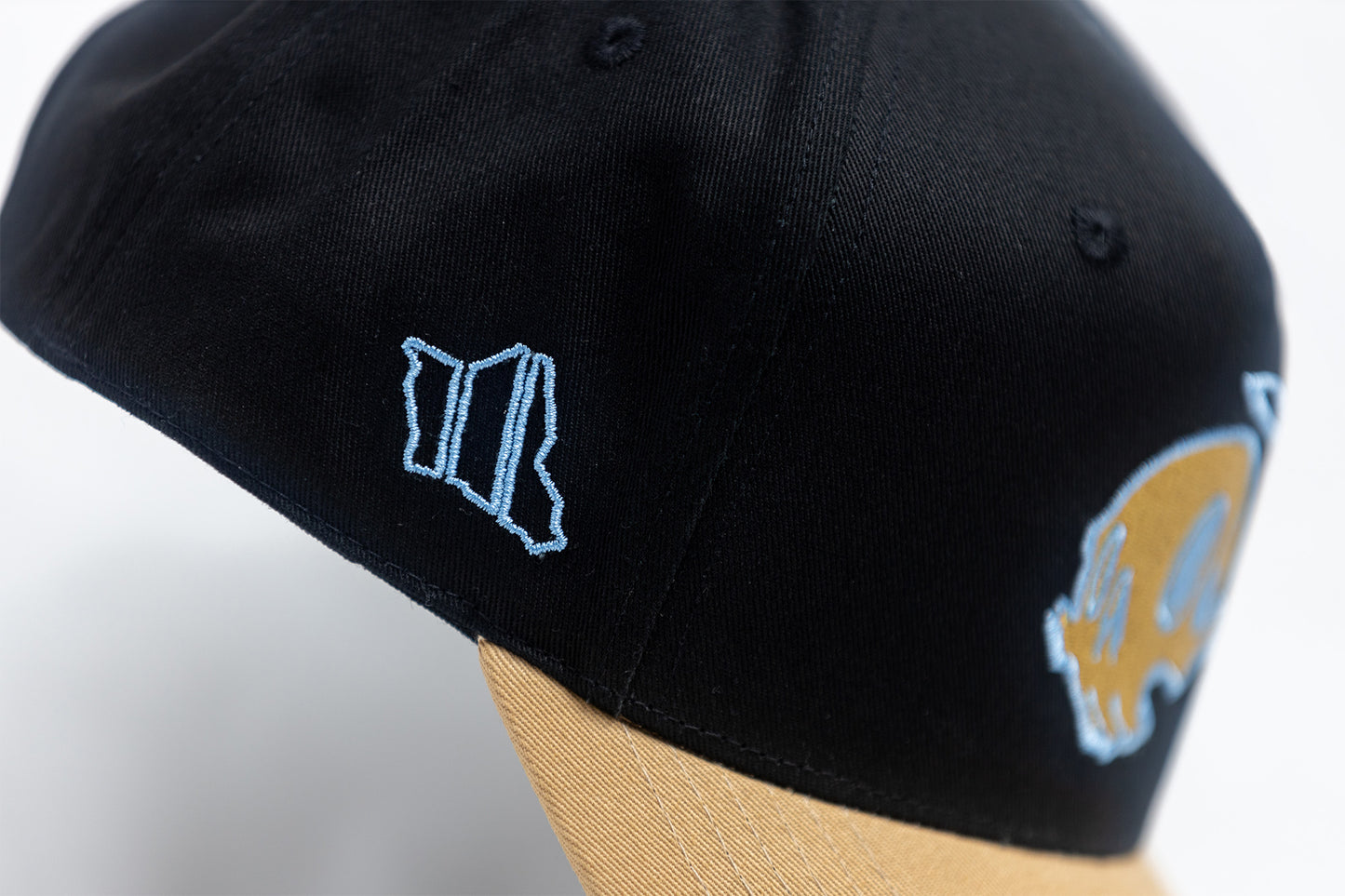 Skull Snapback